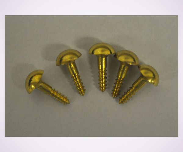20mm brass screws + brass doomed caps