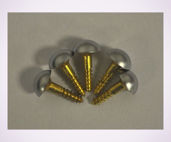 20mm brass screws + St-Steel domed caps