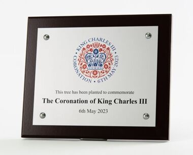 An image of King Charles III Coronation Plaque - 400mm x 300mm (A3)