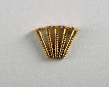 An image of Size 4 Brass Wood Screws (pkt of 5)