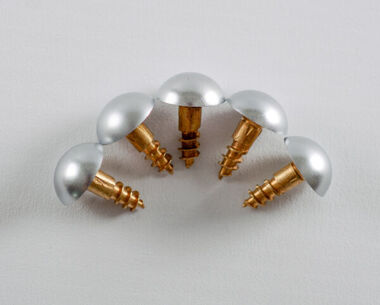 An image of 15mm Brass Screws and Silver Domed Caps (pkt of 5)