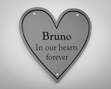 An image of Stainless Steel Memorial Pet Plaque - Heart - 150 x 150mm