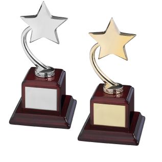 Star Award TZ002