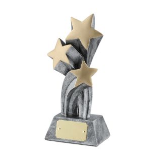Resin Star Award