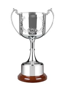 Silver Sports Cup Hudson Award 506