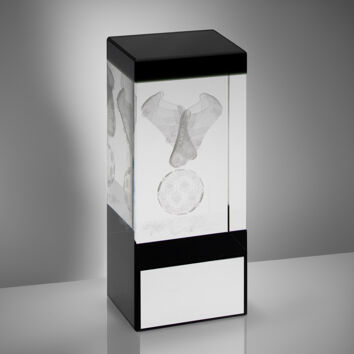 Football Glass Awards