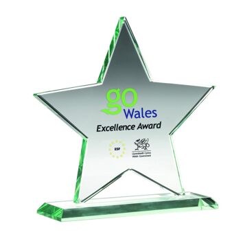 Printed Star Awards