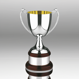 Silver Cups & Salvers