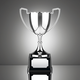 Silver Sports Cups