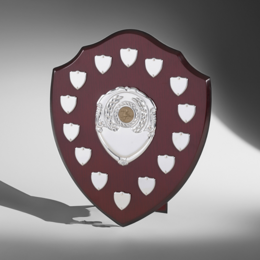 Presentational Shields & Plaques