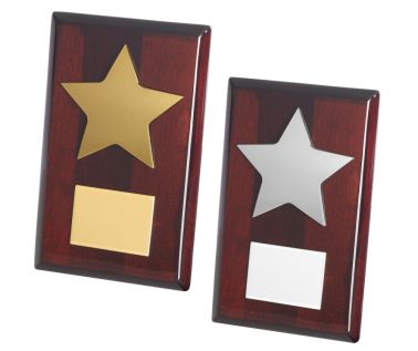 Product Image for Free-Standing Star Award with Wooden Base
