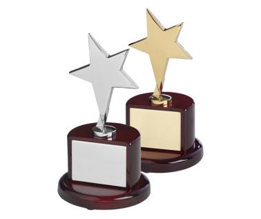 Product Image for Gold / Silver Star Award with Part-Cylinder Base