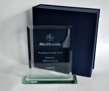 An image of Portrait Corporate Award - 152mm