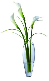 Dartington Flora Vase