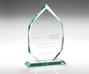 Product Image for Diamond-Shaped Corporate Award - 165mm