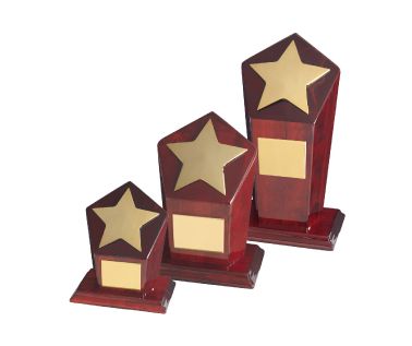 Product Image for Star Award with Pentagonal Base - 6&quot; TZ009A