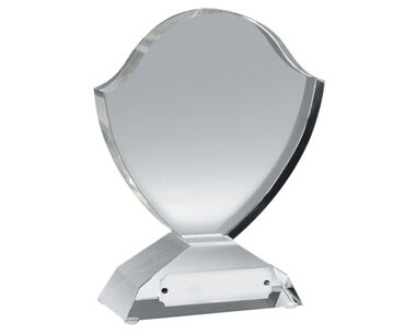 Product Image for Crystal Shield Award with Engraving Plate