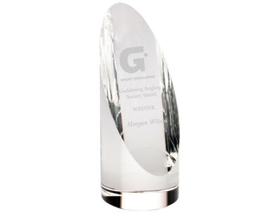 An image of Business Excellence Oval Pillar Award