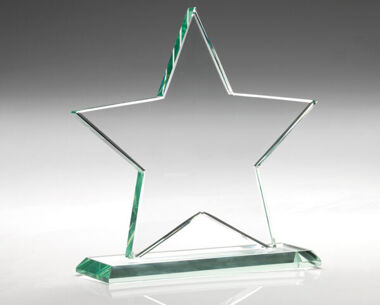 An image of Company Service Star Award - 133mm