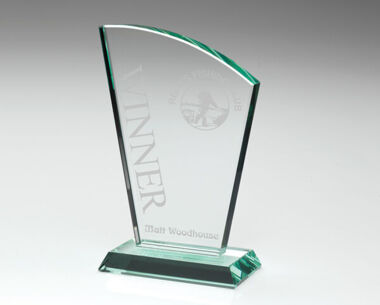 Product Image for Corporate Fan Trophy - 152mm