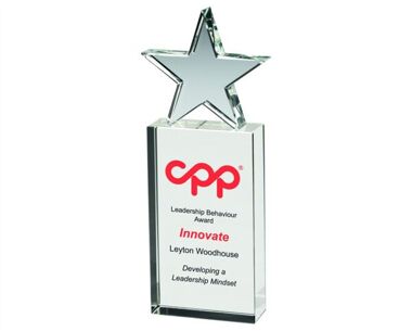 Corporate Recognition Star Award