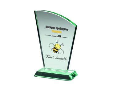 Product Image for Printed Glass Fan Award - 152mm