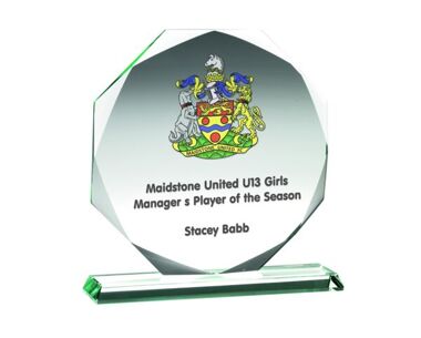 Product Image for Printed Octagonal Glass Award