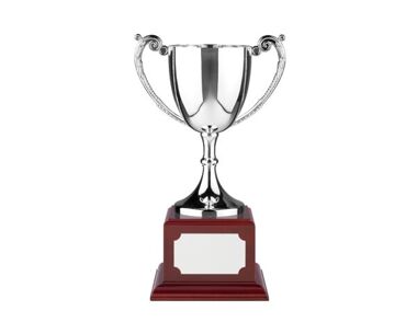 Product Image for Silver 'Endurance' Cup with Rosewood Base