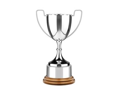 Product Image for Silver 'Endurance' Cup with Light Wood Base