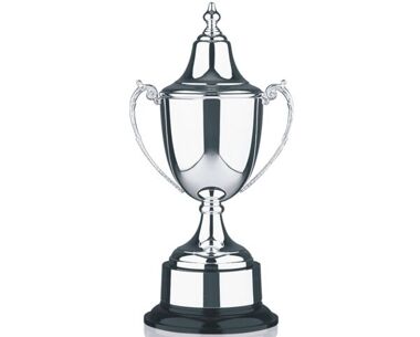 Product Image for Traditional Sports Cup with Silver-Plated Lid - 7&quot;