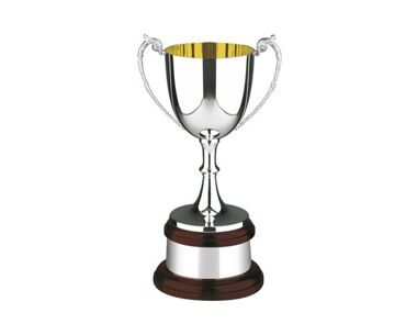 Product Image for Silver Sports Cup with Gold-Plated Interior