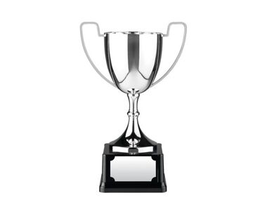 Product Image for Swatkins Silver Endurance Cup on Black Plinth - 7.75&quot;