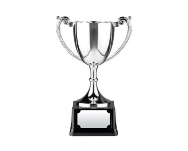 Product Image for Silver 'Endurance' Sports Cup on Black Plinth