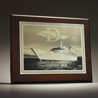 Product Image for Metal Plate + Wood Backing