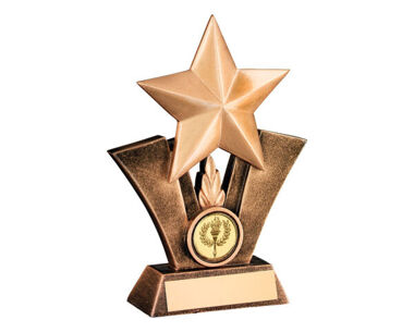 Product Image for Star Award - 5&quot;