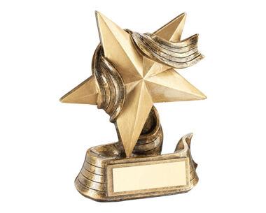 Product Image for Star &amp; Ribbon Award - 4&quot;