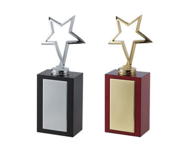 An image of Star Outline Award with Wooden Base - Silver