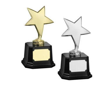 An image of Gold / Silver Star Award with Wooden Base - Silver