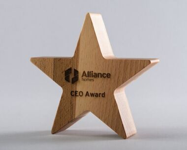 Product Image for Engraved Sustainable Wooden Star Award - 160mm x 160mm
