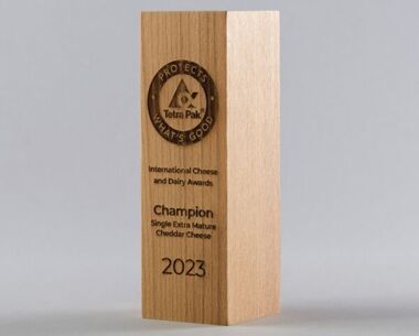 Product Image for Engraved Sustainable Wooden Column Award