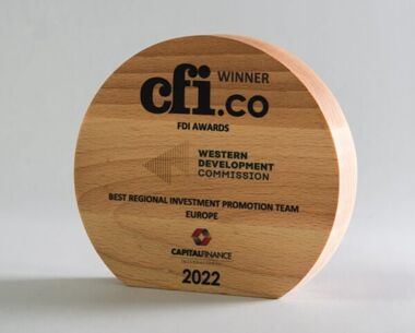 An image of Printed Sustainable Wooden Circle Award - 150mm Dia