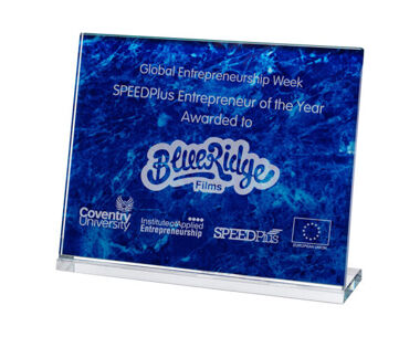 An image of Blue Marble Landscape Glass Award