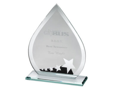 An image of Black & Silver Teardrop Award with Stars