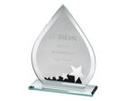 SK1 Black Silver Teardrop Award
