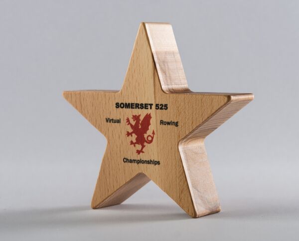 Printed Star Wooden