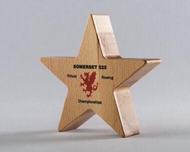 Product Image for Printed Sustainable Wooden Star Award - 160mm x 160mm