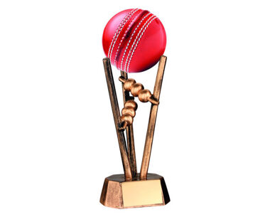Product Image for Resin Cricket Ball Holder
