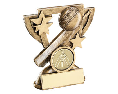 An image of Resin Cricket Award with Personalised Centre Badge