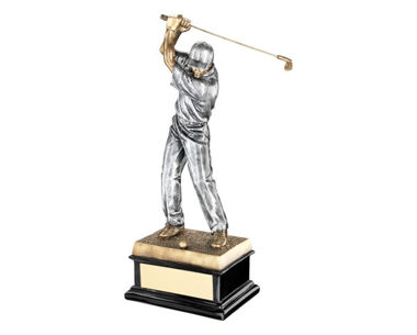 Product Image for Gold & Silver Resin Golf Award