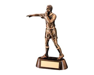 Product Image for 'Officials' Trophy